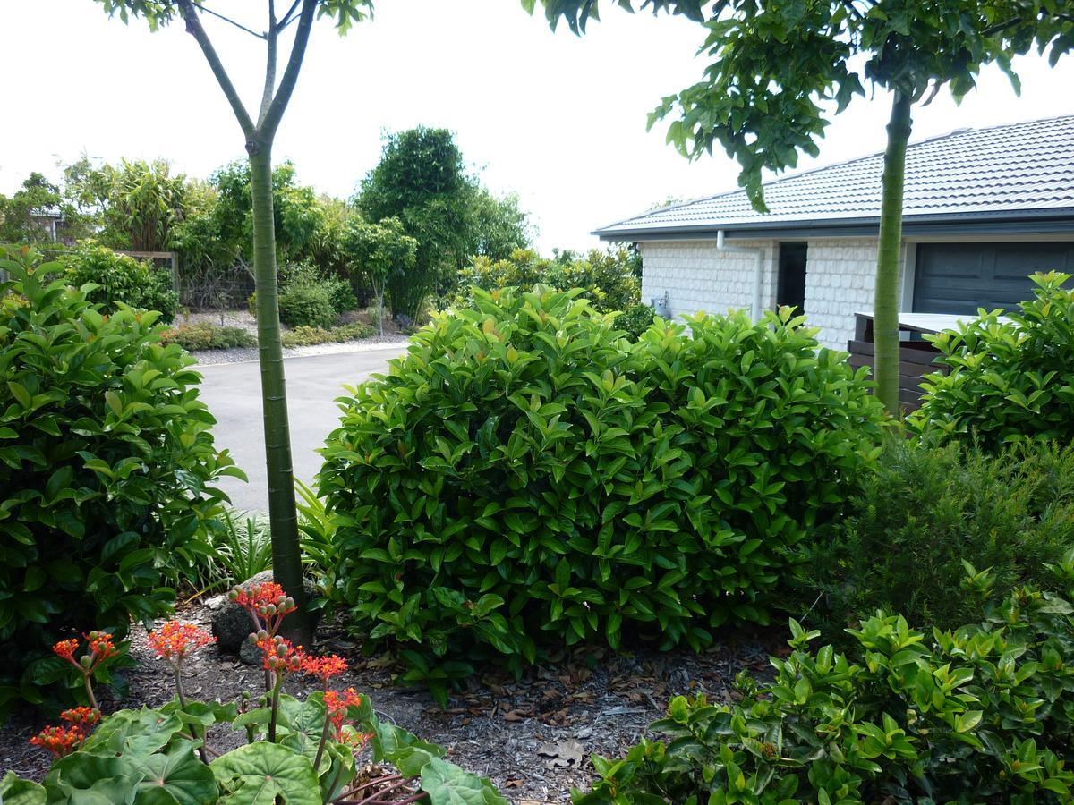 Willowbank Drive Bed & Breakfast 外观 照片